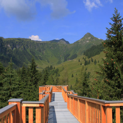 Aussicht vom Baumzipfelweg